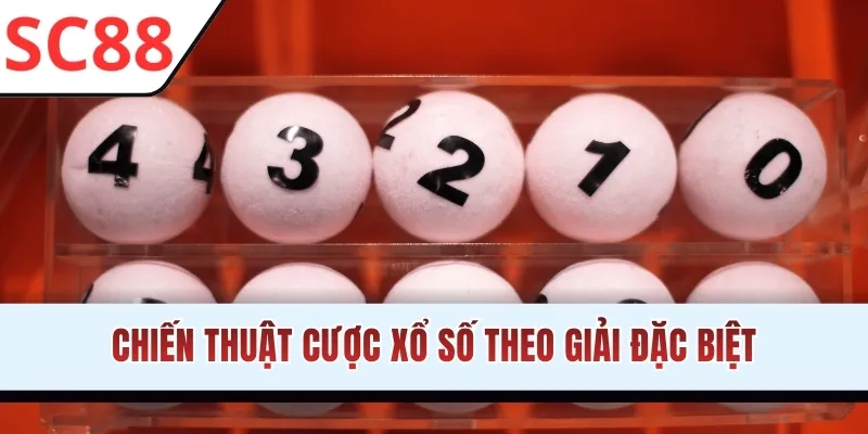 Chiến thuật cược xổ số theo giải đặc biệt